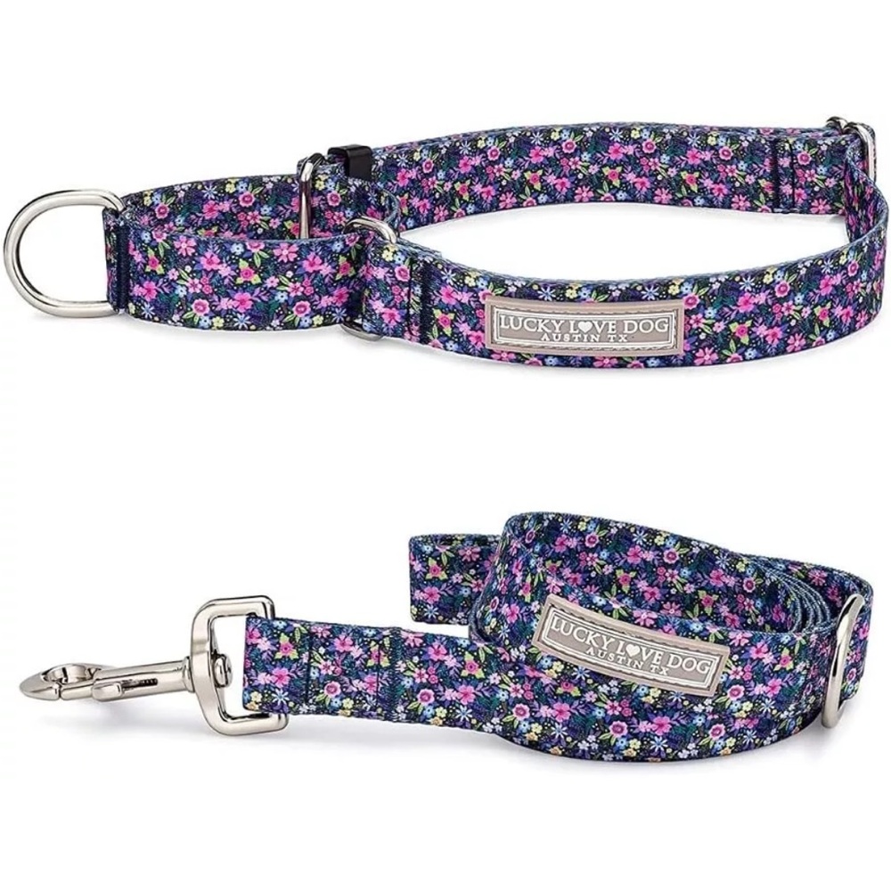 Lucky Love Dog Martingale Leash Collar Set Small
